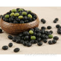 Black Bean Nutrition Facts